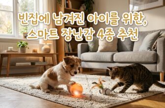강아지 고양이 분리불안 완화 도움 상황별 스마트 자동 간식 장난감 BEST 4 추천 썸네일