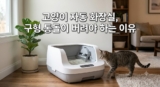 고양이 자동 화장실 추천: 위험한 통돌이 대신 안전한 오픈형 (니카사 vs 캣링크)