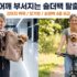허리 구원템 강아지 유모차(개모차) 추천 : 카시트 겸용 분리형 4종
