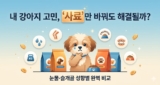 강아지 사료 추천: 눈물·알러지·슬개골·소형견 완벽 비교