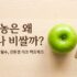 초기 이유식 준비물 : 유기농 쌀가루 및 나트륨 낮은 아기 치즈