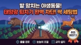 태양광 야생동물(멧돼지·고라니) 퇴치기 추천｜실패 확률을 줄이는 세팅법