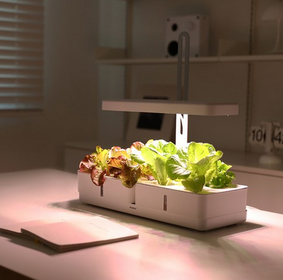 식물-재배기-추천-무아스 마이팜-홈가드닝-LED 수경재배기