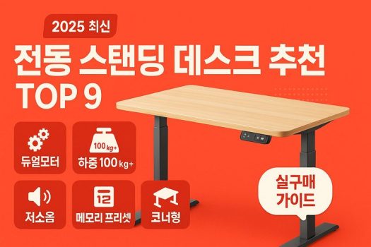전동-스탠딩-데스크-추천